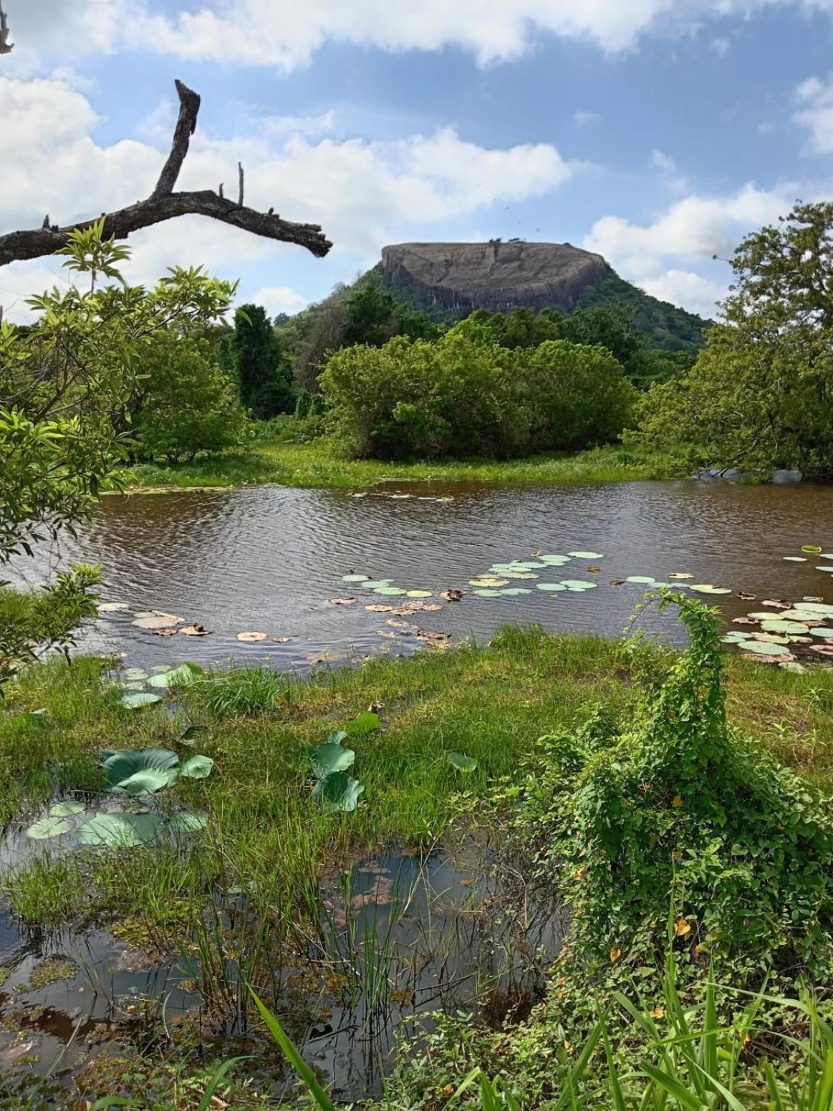 Kings Village Sigiriya Exterior foto