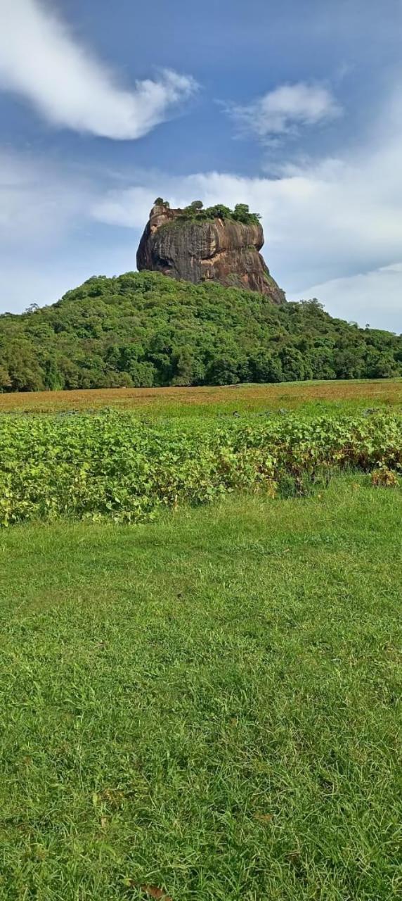 Kings Village Sigiriya Exterior foto
