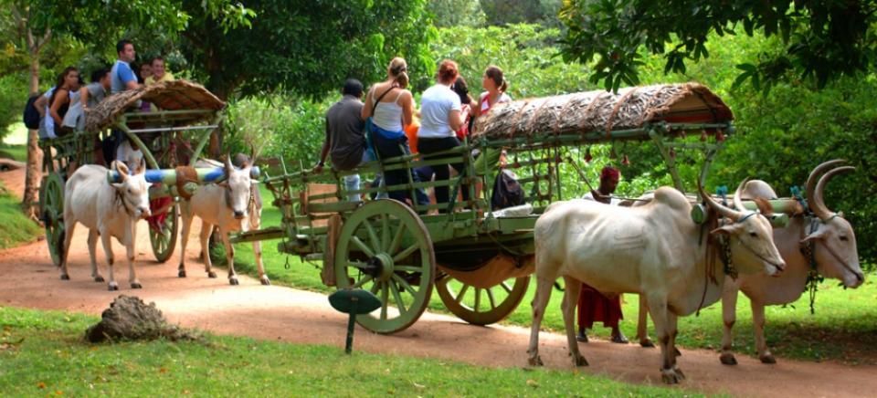 Kings Village Sigiriya Exterior foto